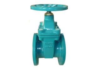 China (DIN) Cast Iron Resilient Gate Valve nor-rising stem factory