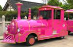 Amusement Park Rides / 60 Passengers Gasoline Tourist Tightseeing Road Trackless