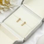 5 Pairs Per Set Gold Earrings Jewelry Shiny Crystals 316 Stainless Steel Bar