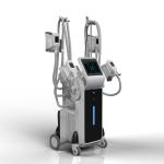 Weight Loss Double Cryotherapy Fat Freeze Pdt Cryoshape Fat Freezing Machine