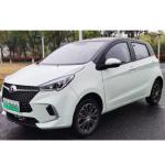 RHD & LHD New Energy Car F10 Electric Vehicle 350 kg Payload & 300 km Range