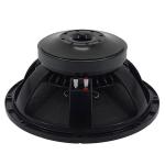 700 Watt Pro Audio Powered Subwoofer B&C PA Speaker 38Hz - 2000Hz