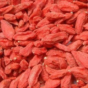 China new crop goji berries price 100% natural goji factory