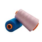 OEKO TEX 800 Colors 40S/2 4000m Polyester Sewing Thread