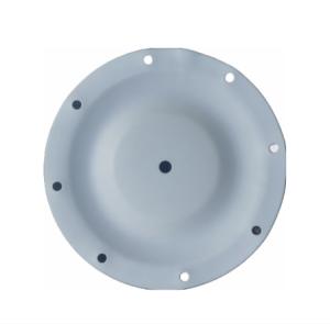 China 286-096-600 Diaphragm PTFE 0.5 Inch Fit SANDPIPER Pump Kits Diaphragm factory