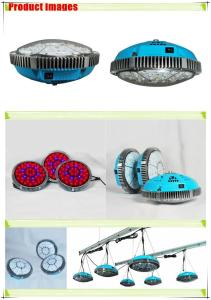 China UFO led grow light 140 Watts for planting factory
