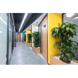 Beijing Thousanmed Innovation Tech. Co., Ltd.