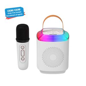 China Outdoor DJ Party Karaoke Speaker With Wireless Microphone And Bluetooth Communication factory