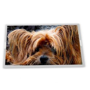 China ODM 32.0-Inch WLED LCD Display Module TFT LCD Panel with 3480*2160 Resolution for LCD Screens factory