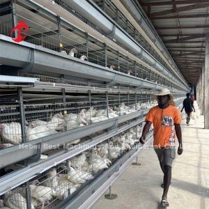China H Type Full Hot Dip Galvanized Automatic Chicken Cage Equipment For Chicken Farm Sandy factory