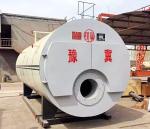 Convenient Thermal Oil Boiler Furnace , Industrial Hot Water Boiler Custom Color