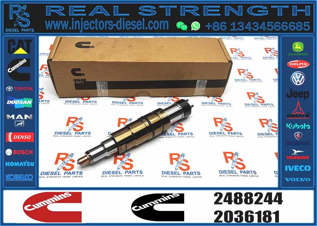 Fuel Injector Diesel Engine Injector Common Rail Injector Repair Kit 2488244 2872544 2872289 2872284 4955080