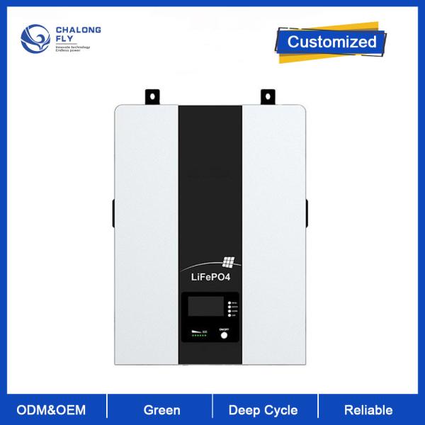 LiFePO4 Lithium Battery 48V 100AH Home Backup Battery Pack 5KW 10KW OEM ODM Wall