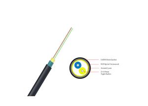 China Inside / Outdoor Fiber Optic Cable 4.8mm 5.0mm 2 Cores With PVC LSZH TPU PE Jacket factory