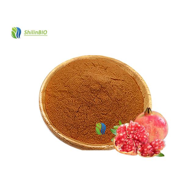 China Pure Pomegranate Extract  40%-98% Ellagic acid factory
