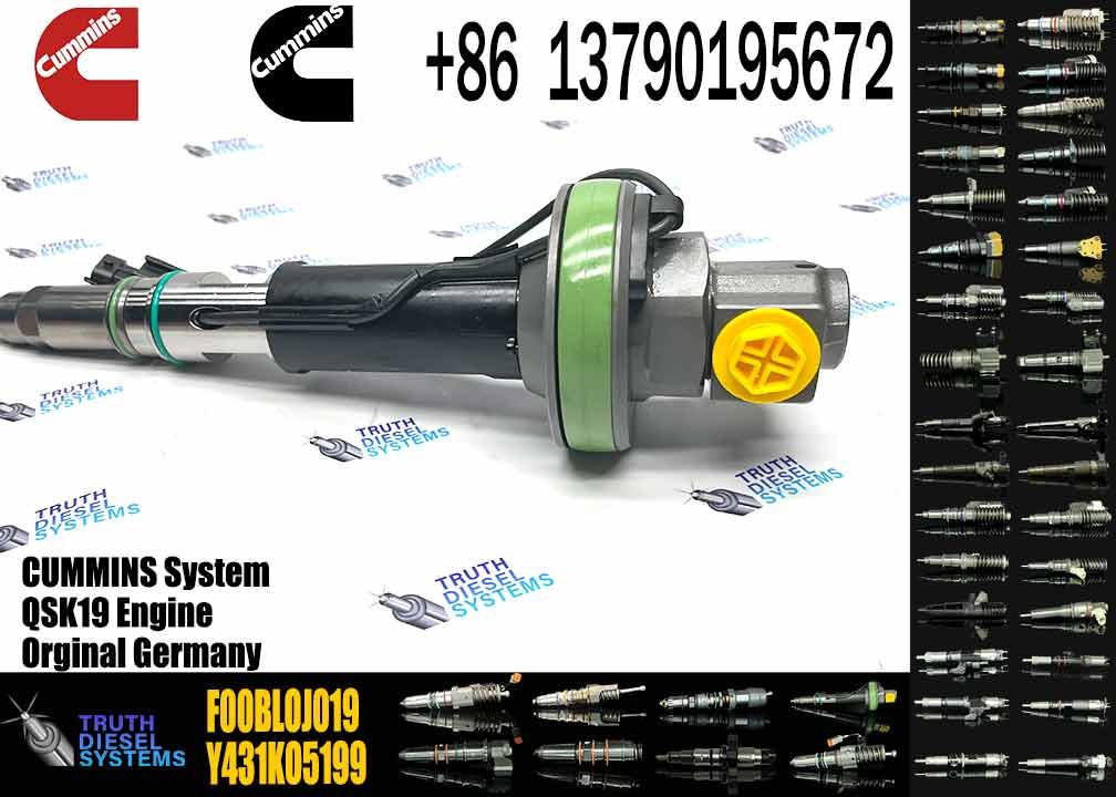 4955524 F00BL0J019 Common Rail Fuel Injector For QSK19 QSK60 Engine
