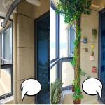 Real Touch Dired Flower Artificial Vertical Garden Tree Bark Natural Colour