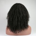 Indian Kinky Curly Human Hair Lace Front Wigs For Black Women No Shedding