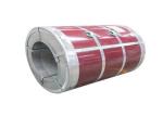 Color Coated Steel Slit Coil RAL9002 White Z275 2500-6000 mm Length
