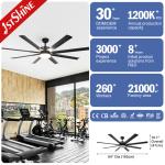 1stshine 64/84/100 Inch DC Motor 6 Blades Ceiling Fan Light White/Black/OEM with