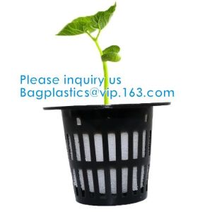 Commercial Aquaponics Growing Systems Agricultural Greenhouse Indoor Hydroponics