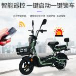 ELECTRIC VEHICLE WITH REMOTE CONTROL KEY TWO-PERSON ELECTRIC BICYCLE NEW BATTERY