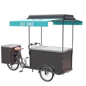 China Customizable Multifunctional Ice Cream Bicycle Cart 300KG Load Capacity factory