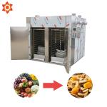 380V Voltage Cashew Nut Processing Machine Industrial Food Dehydrator 5m2