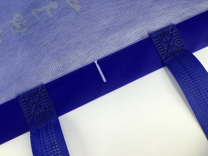 China Factory Promotional Custom Shopping PP Non Woven Bag