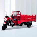 Air Cooling Cargo Tricycle Motorcycle with 5.0-12 Tyre and 150/200/250/300cc