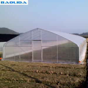 China Customized Tunnel Cover Reinforced Clear Greenhouse Plastic Sheeting factory
