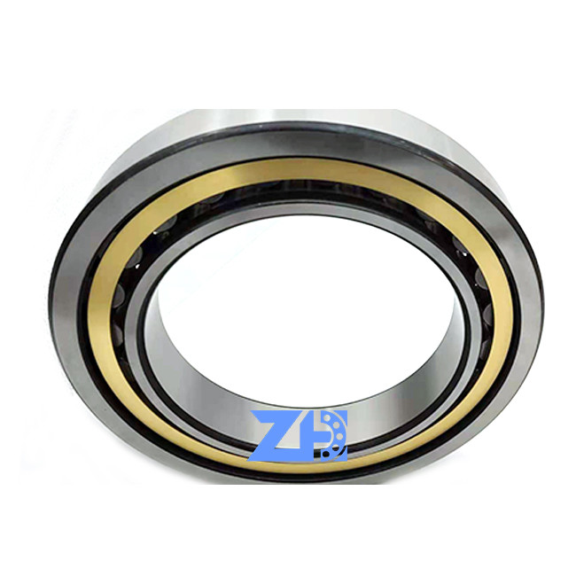 RN206ECM Cylindrical Roller Bearing 30*55.5*16mm hard-wearing single row Cylindrical roller bearings