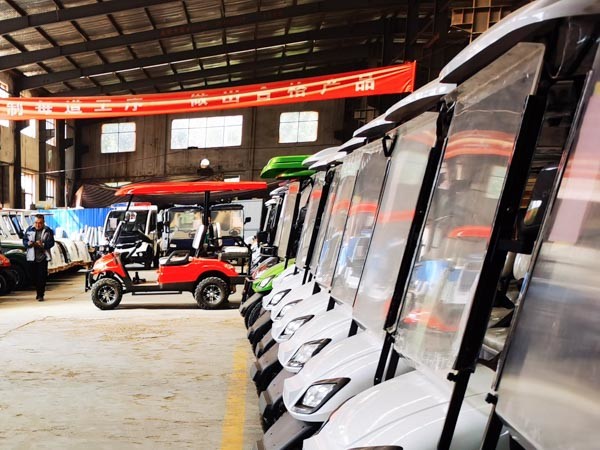 Customized Off Road NEV Golf Cart 48Volt 60v 72v 30km/H
