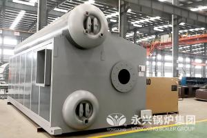 China 16 Bar D Type Water Tube Boiler Steam Drum Design Gas Condensing Boiler factory