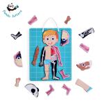 Human Body Magnetic Puzzle Game Material Glossy Artpaper White Board for Kids 3+