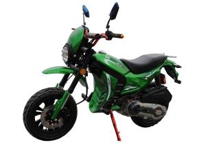 China Green Color Body Gas Dirt Bikes High Speed With Front Disc Rear Drum factory