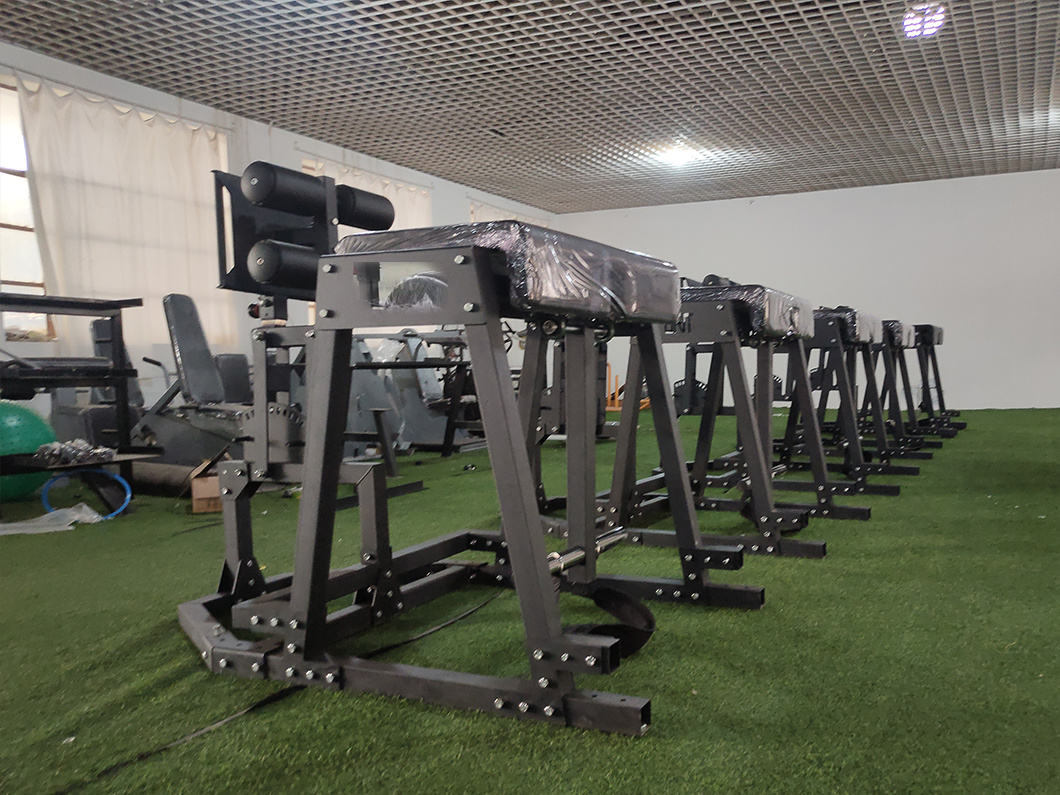 Factory Direct Back Hyperextension GHD Glute Ham Developer Roman Bench