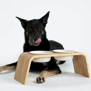 China OEM ODM Personalized Pet Bowls Ceramic Elevated Dog Bowls Eco Friendly factory
