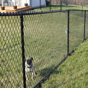 China Various Good Quality 8 Foot Boundary Wall Pvc Coated Hot Dipped Industry Galvanized Chain Link Fence For Sale factory