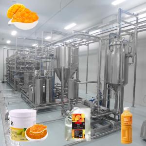 China 10T/D 304 Stainless Steel Mango Processing Line Aseptic Bag Package factory