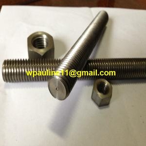 China 316L stud bolt and nut factory