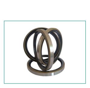 China TA Type Double Lip Rotary Shaft Oil 40mm Rubber O Ring factory