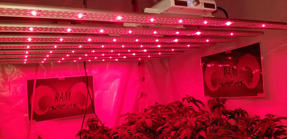 Spectrum Intelligent Led Grow Light , Programmable Grow Light 8 Bar Units
