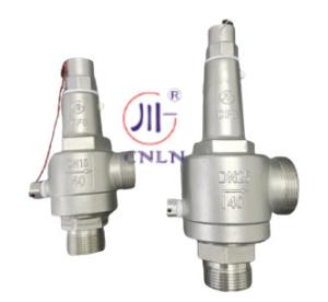 China Cryogenic Full Open Safety Valve DN15 DN25 Liquid Industrial Gas Valves -196~+80 factory
