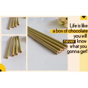 China Eco Friendly Factory Directly Sales Customized Logo Bamboo Straw With Brush 100 % Natural Bamboo Straw bagease bagpac on sale