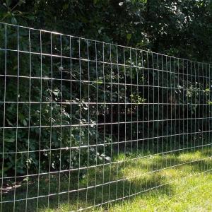 China Cheap galvanized pvc coated 3ft 4ft 5ft 6ft 7ft 8ft galvanized 50m/100m field fence price factory