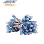 Factory Wholesale WS2811 Dream Color RGB IC 12V LED Pixel Sting Lights Advert