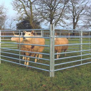 China Sheep Fence Panels Hot-Dipped Galvanized Metal European Design Style on sale