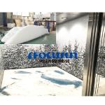 220V/1P/60HZ/50HZ Copeland Compressor Focusun 600kg Snow Maker Machine for Spa
