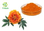 Natural Pigment Xanthophyll Marigold Flower Herbal Extract Powder